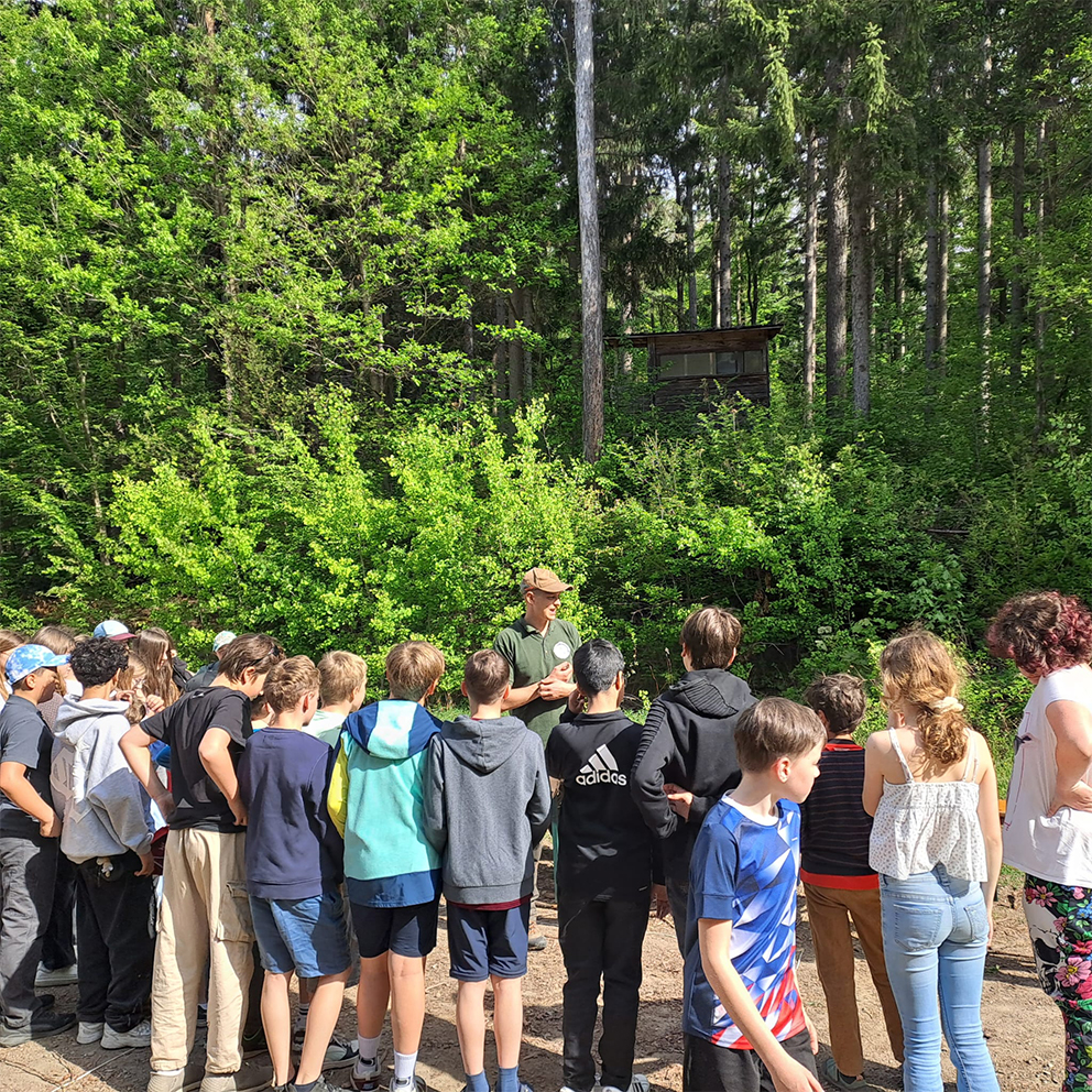 waldjugendspiele (6)