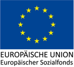 EU logo